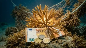 El «impuesto invisible» del mar: Por qué la invasión del alga asiática está vaciando las arcas de Andalucía